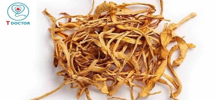 5 tác dụng của đông trùng hạ thảo với nam giới